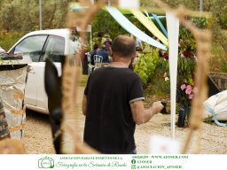 Festival Mar de Tethys 2026 - Bodega Vetas